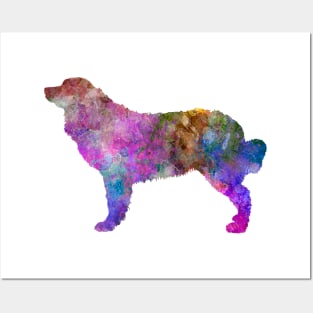 Bernese mountain dog  in watercolor Posters and Art